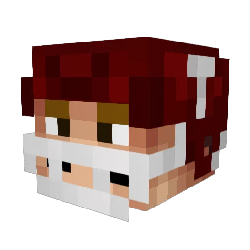 NLeon10 Minecraft avatar head, 3D render