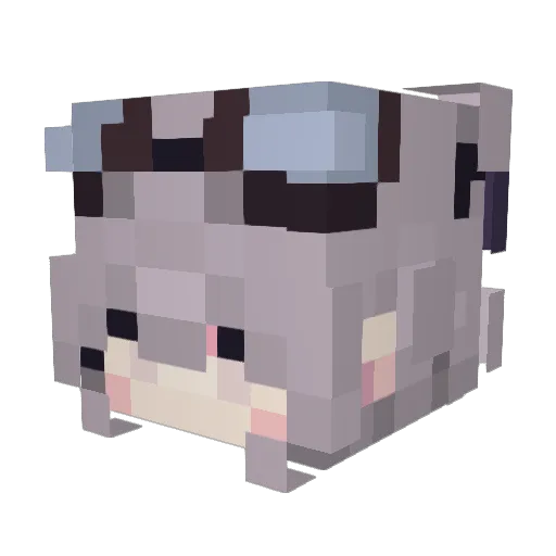 NMLGBDNM Minecraft avatar head, 3D render