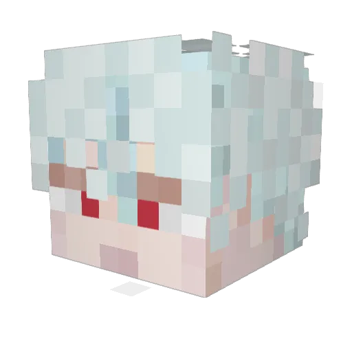 NMMTBS Minecraft avatar head, 3D render