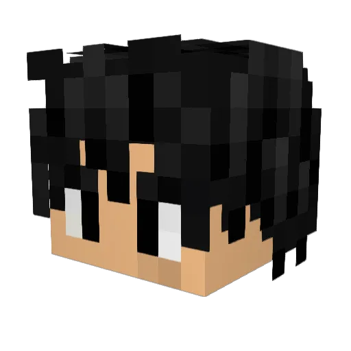 NMP_L Minecraft avatar head, 3D render