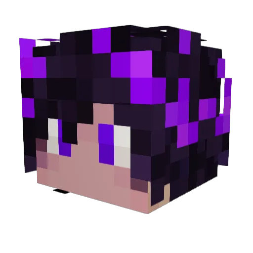 NMan68 Minecraft avatar head, 3D render