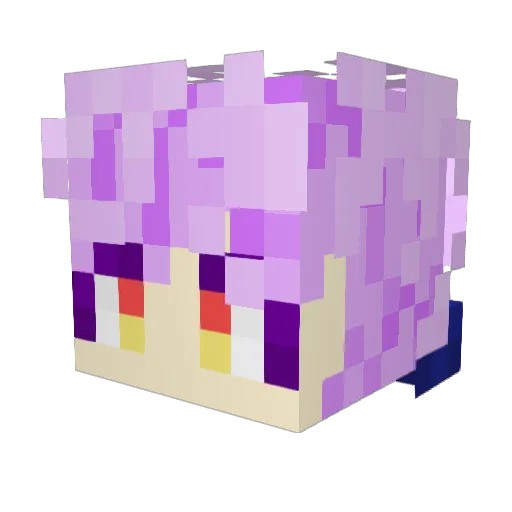 NNIR_Rain Minecraft avatar head, 3D render