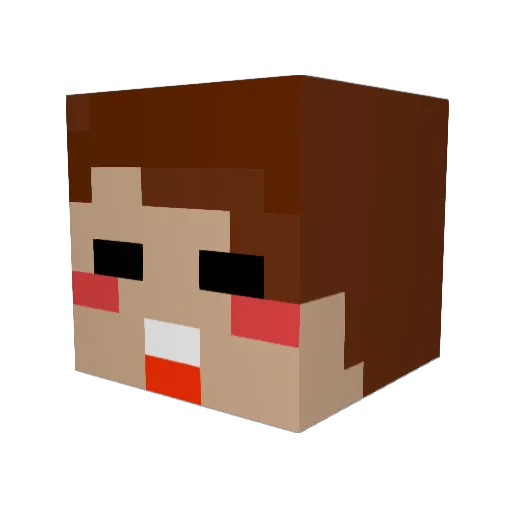 NNM3 Minecraft avatar head, 3D render