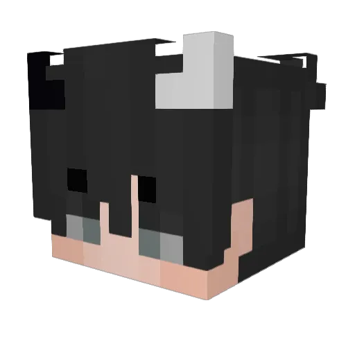 NNNightmare Minecraft avatar head, 3D render