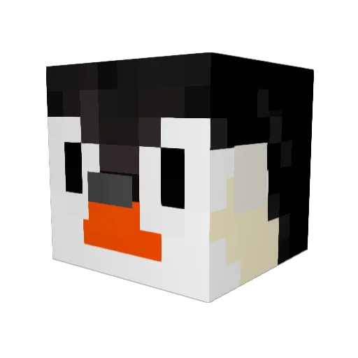 NNPackers Minecraft avatar head, 3D render