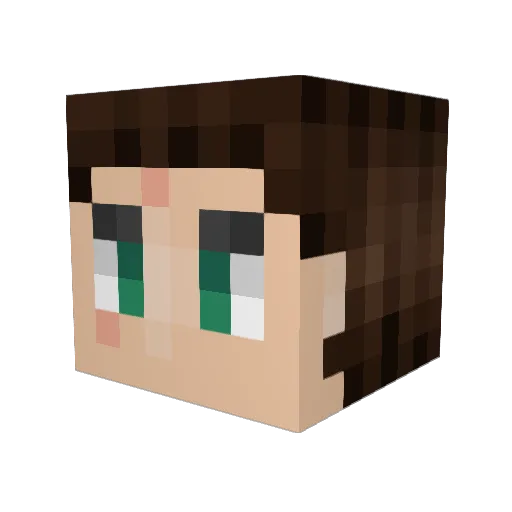 NN_dd Minecraft avatar head, 3D render