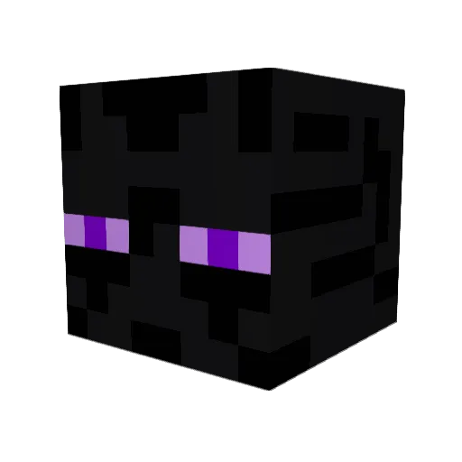 NNeGative Minecraft avatar head, 3D render