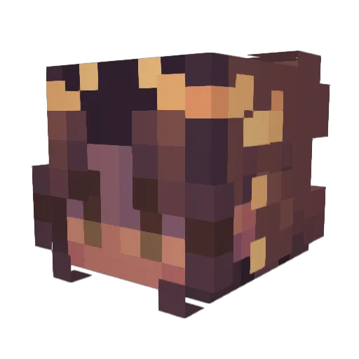 NNisaa Minecraft avatar head, 3D render