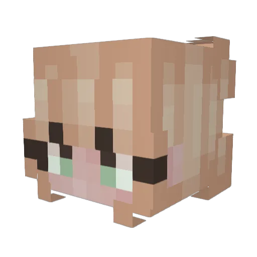 NNo_oah Minecraft avatar head, 3D render