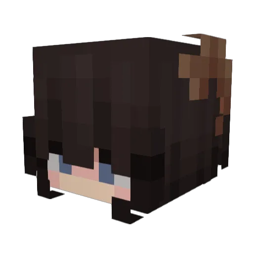 Minecraft-Avatar von NNotHope: Kopf als 3D-Render