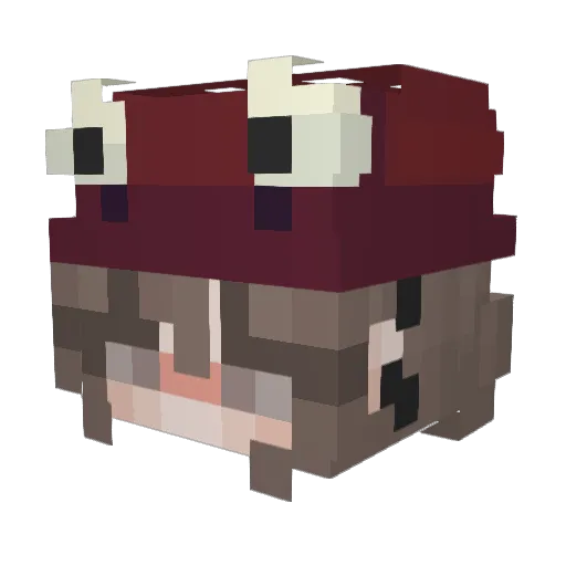 NO0TNOOT Minecraft avatar head, 3D render
