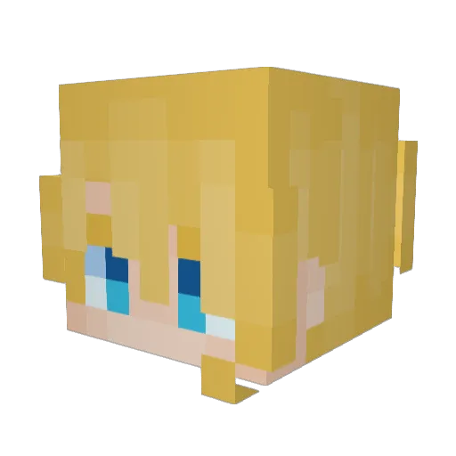 NO4H_H Minecraft avatar head, 3D render