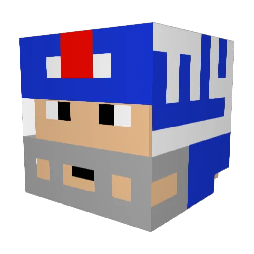 NOAHROBERTS Minecraft avatar head, 3D render