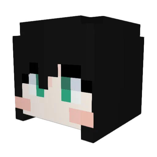 NOAH_45 Minecraft avatar head, 3D render