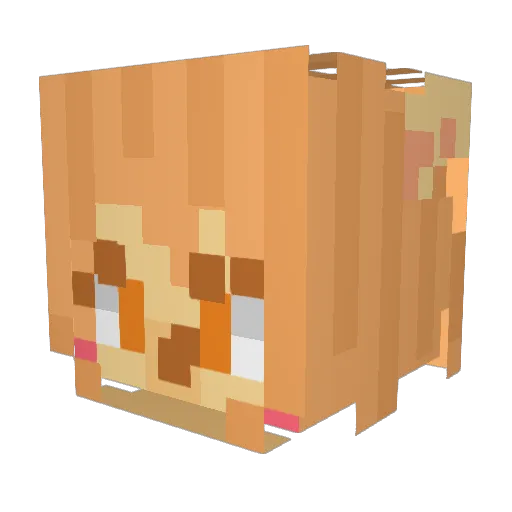 NODOBOTOk Minecraft avatar head, 3D render