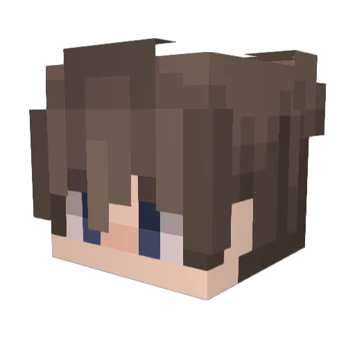 NOELT1 Minecraft avatar head, 3D render