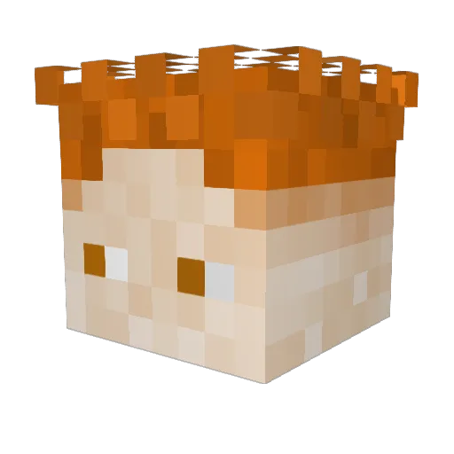 NOEPPY Minecraft avatar head, 3D render