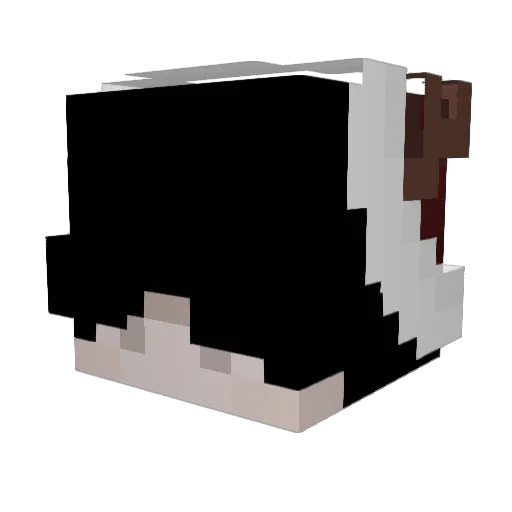 NOIS1__ Minecraft avatar head, 3D render