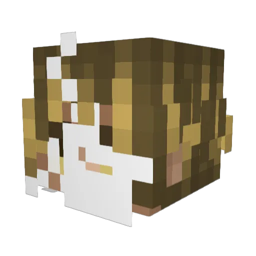 NOLAGS Minecraft avatar head, 3D render