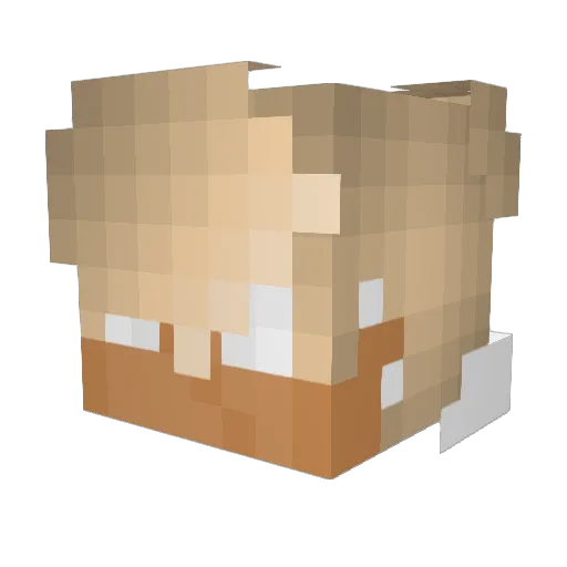NOMERCY177 Minecraft avatar head, 3D render