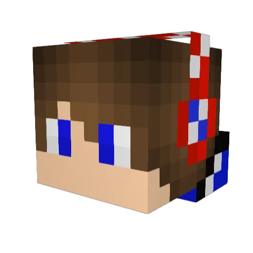 NOMERCYHAWK Minecraft avatar head, 3D render