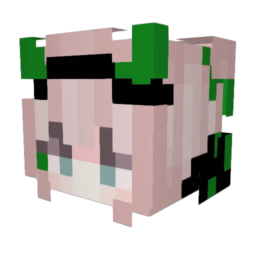 NOMoreFortttnite Minecraft avatar head, 3D render