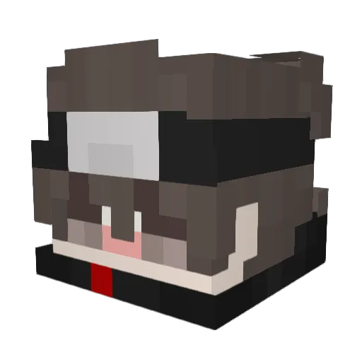 NONAMEPLAYER23 Minecraft avatar head, 3D render