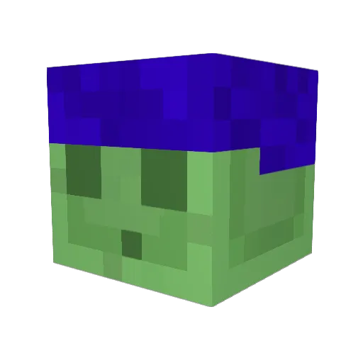 NOOB123464 Minecraft avatar head, 3D render