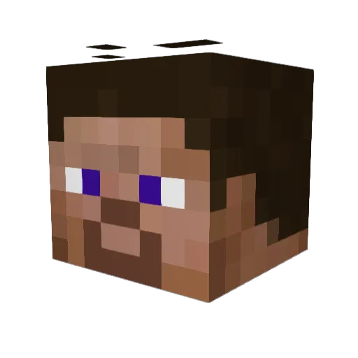 NOOB2424 Minecraft avatar head, 3D render