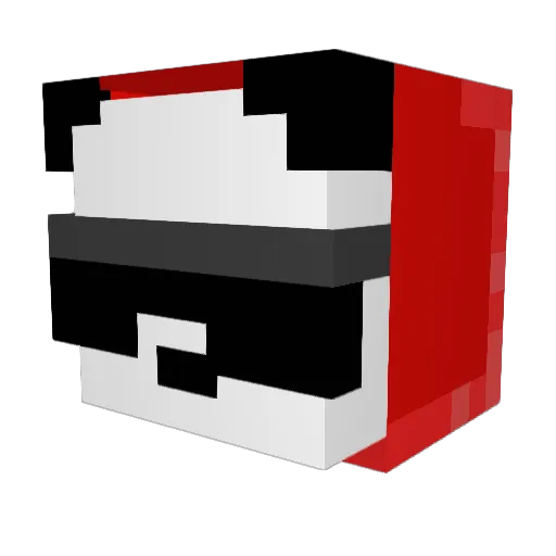 NOOBH8R Minecraft avatar head, 3D render