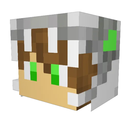 NOOBSTE Minecraft avatar head, 3D render