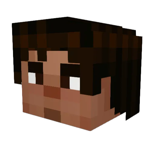 NOOBSTER220 Minecraft avatar head, 3D render
