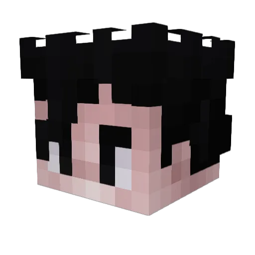 NOOB_GAMER5 Minecraft avatar head, 3D render