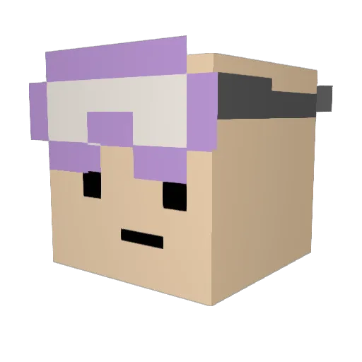 NOOK_7 Minecraft avatar head, 3D render