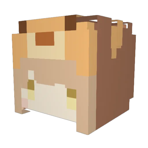 NOPANCHU Minecraft avatar head, 3D render