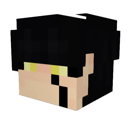 NORANEKO_3 Minecraft avatar head, 3D render