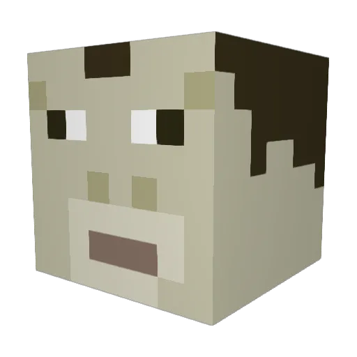 NOSZEREWOLWER Minecraft avatar head, 3D render