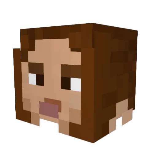 NOTADMIN Minecraft avatar head, 3D render