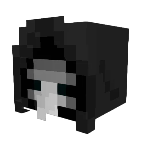 NOTAPLAGUEDOCTOR Minecraft avatar head, 3D render