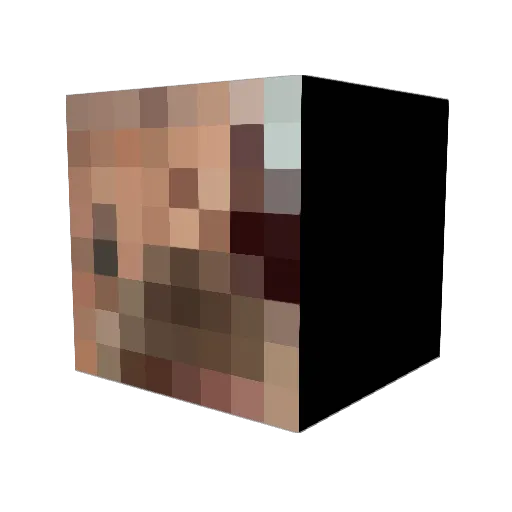 NOTMRT Minecraft avatar head, 3D render