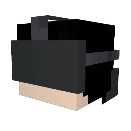 NOTMYPEN Minecraft avatar head, 3D render
