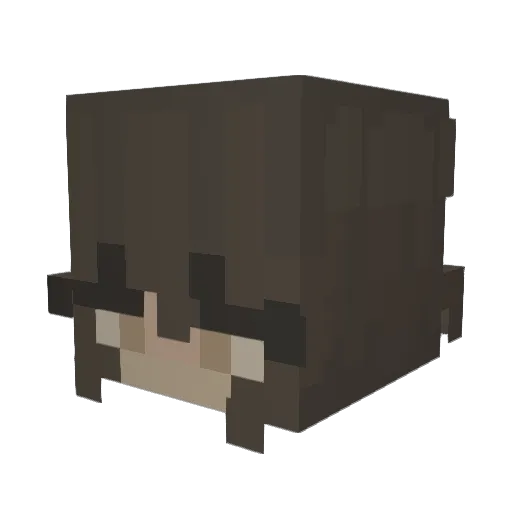 NOTNOXN Minecraft avatar head, 3D render