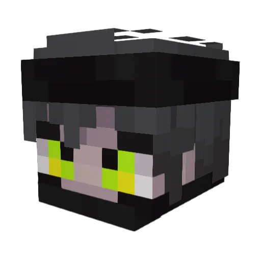 NOTORIOUSPVPER Minecraft avatar head, 3D render