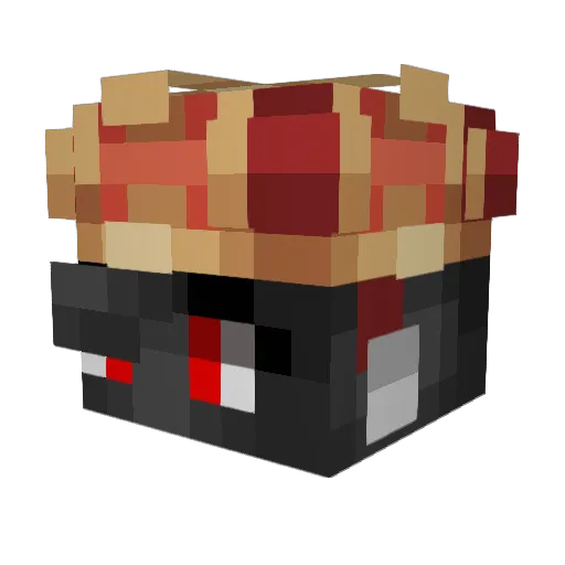 NOTT_BOBA Minecraft avatar head, 3D render