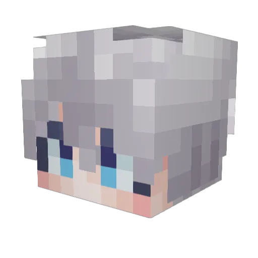 NOTWISHING Minecraft avatar head, 3D render