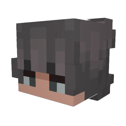 NOT_Danis Minecraft avatar head, 3D render