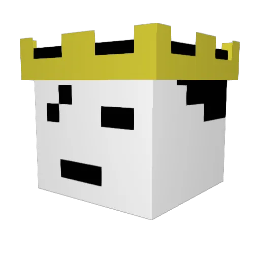 NOT_DuMpLiNg Minecraft avatar head, 3D render
