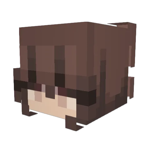 NOT_ELSA Minecraft avatar head, 3D render