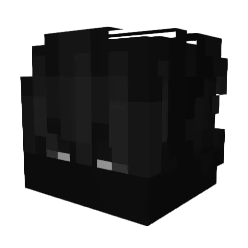 NOT_GHOST_DEATH Minecraft avatar head, 3D render
