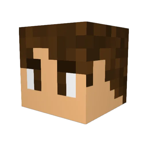 NOTmandomania08 Minecraft avatar head, 3D render